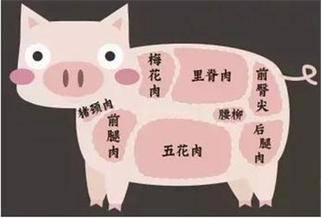 滿足這五大標準，教你如何辨別“放心肉”