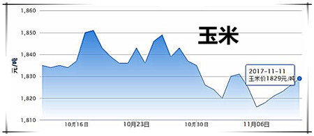 11月12日豬評(píng)：氣溫再下降，市場需求回升，豬價(jià)略有回溫