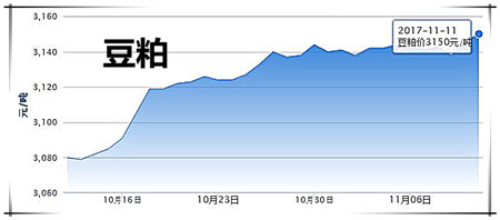 11月12日豬評(píng)：氣溫再下降，市場需求回升，豬價(jià)略有回溫